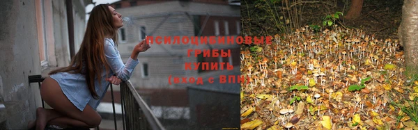 таблы Арсеньев