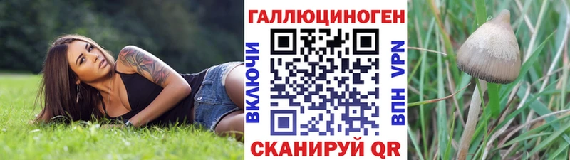 наркота  Михайловск  omg сайт  Галлюциногенные грибы Psilocybe 